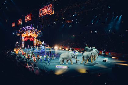 U.S. Circuses Announce Retirement of Elephants from Shows Featured Image