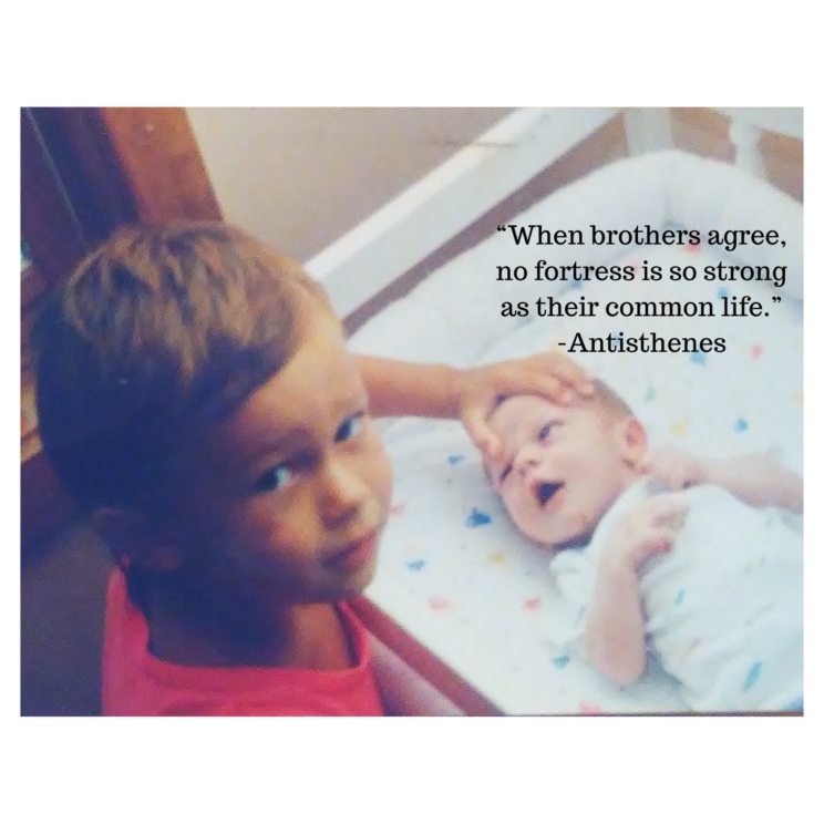 education - brothers