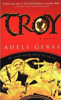 historical fiction books for teens - troy