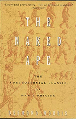 the naked ape - front cover