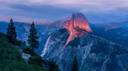 Anywhere That Is Wild John Muirs First Walk to Yosemite Featured Image
